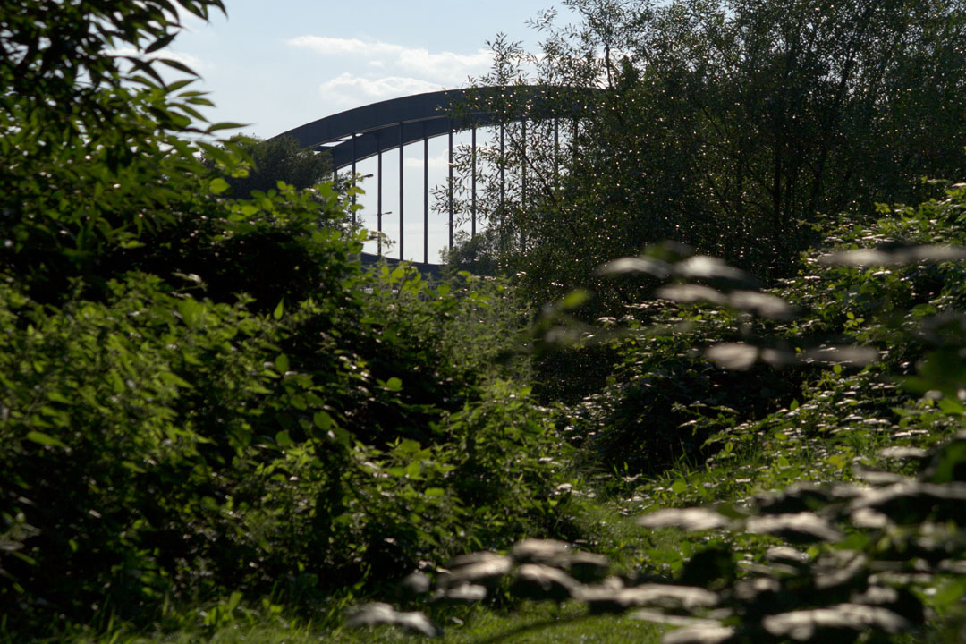 Neue Elbbrücke vom Entenwerder gesehen.