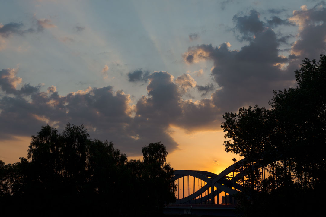 Sonnenaufgang hinter der Neuen Elbbrücke.