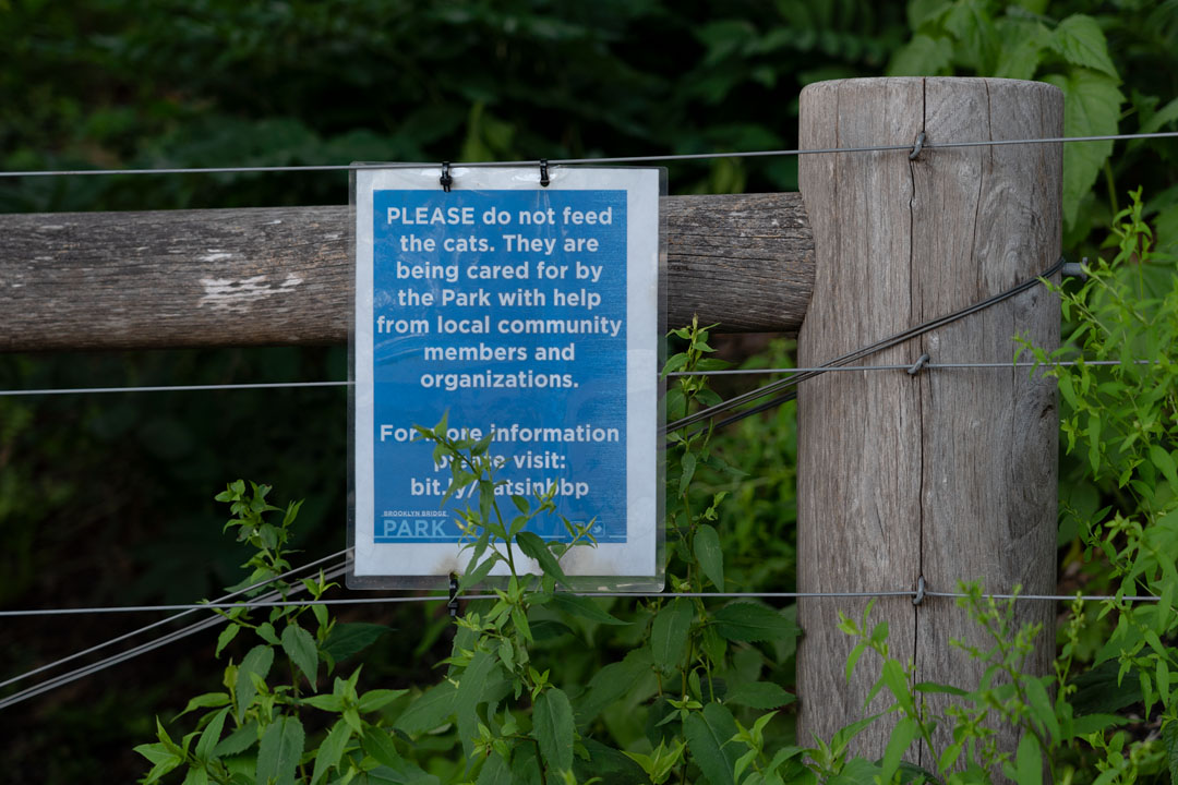 Hinweis auf freilebende Katzen