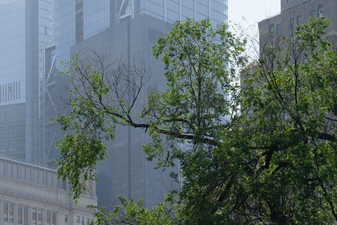 City Hall Park an der Park Row