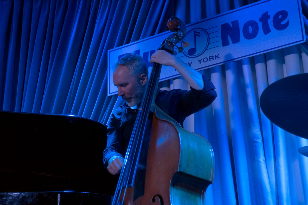 Reid Anderson im Blue Note