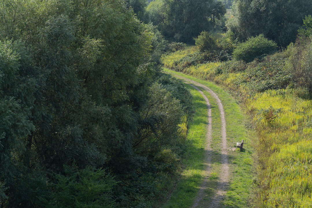 Feldweg mit Bank