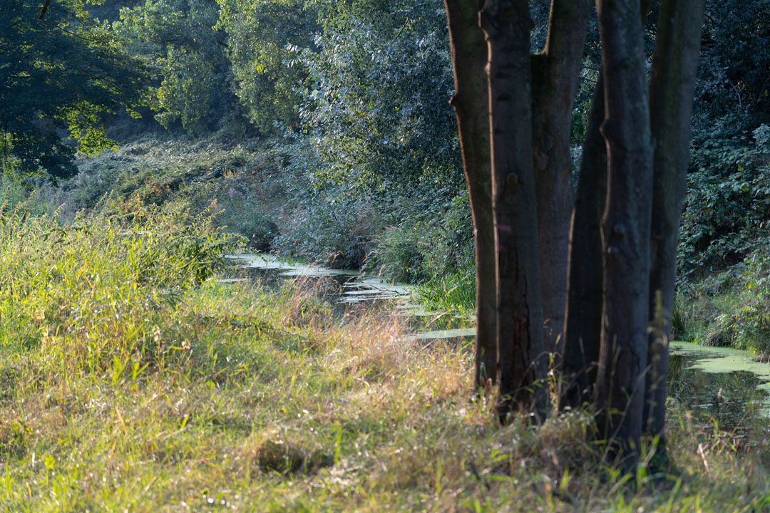 Bullerrinne am Altenwerder Außendeich