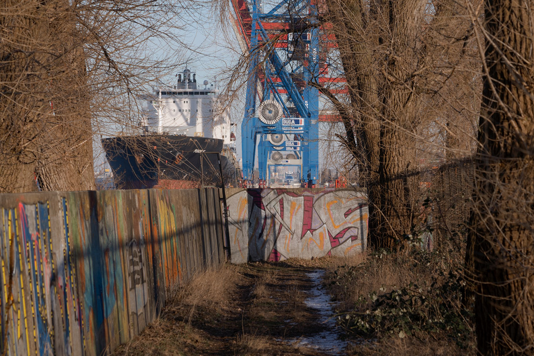 Containerbrücken und Frachtschiffe am Athabaskakai.