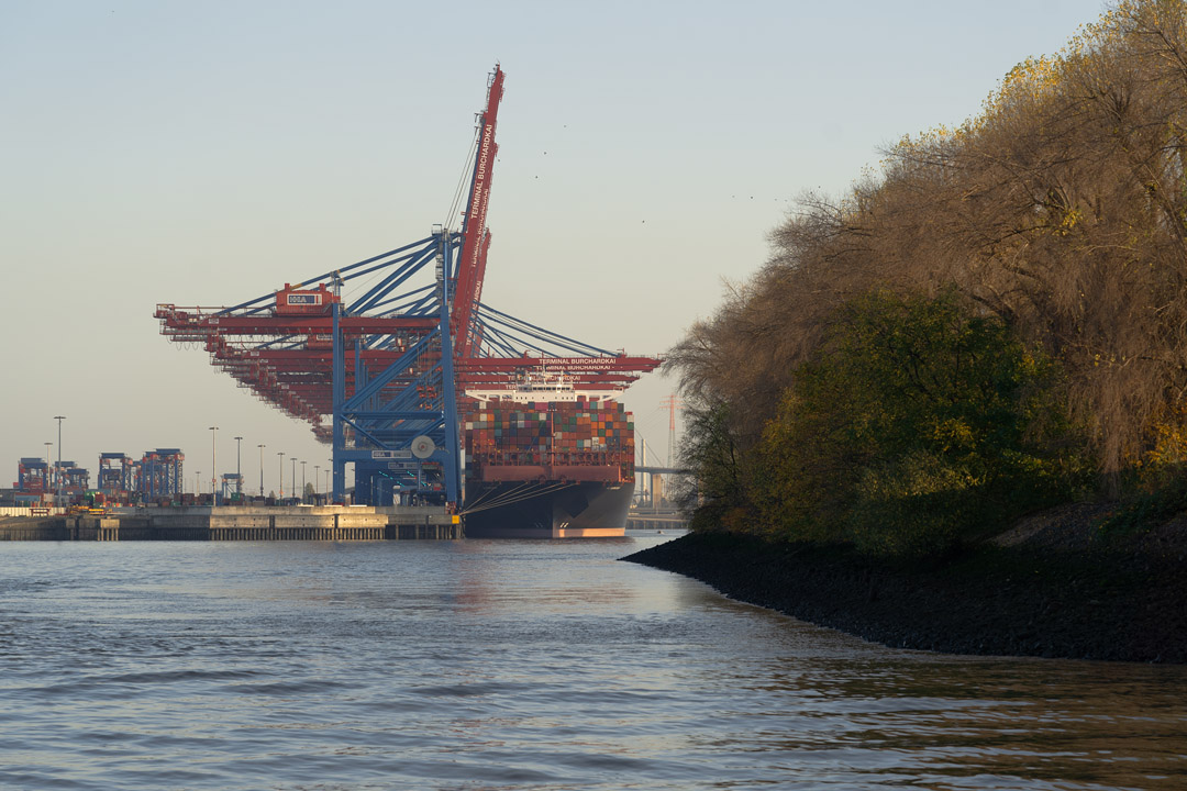 Containerbrücken am Burchardkai