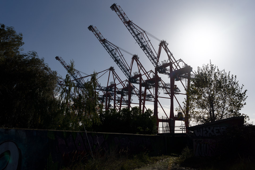 Containerbrücken im Gegenlicht.