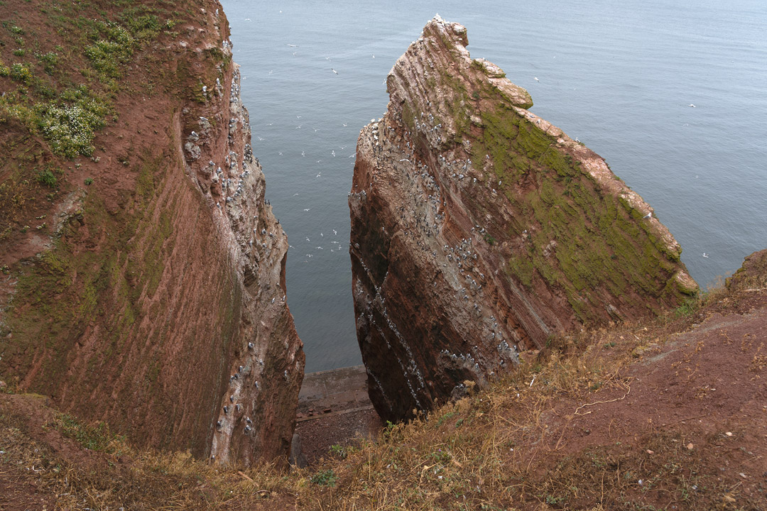 der nördlichste Felseinschnitt der Lummenfelsen
