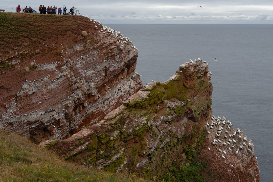 Lummenfelsen aus nördlicher Richtung gesehen