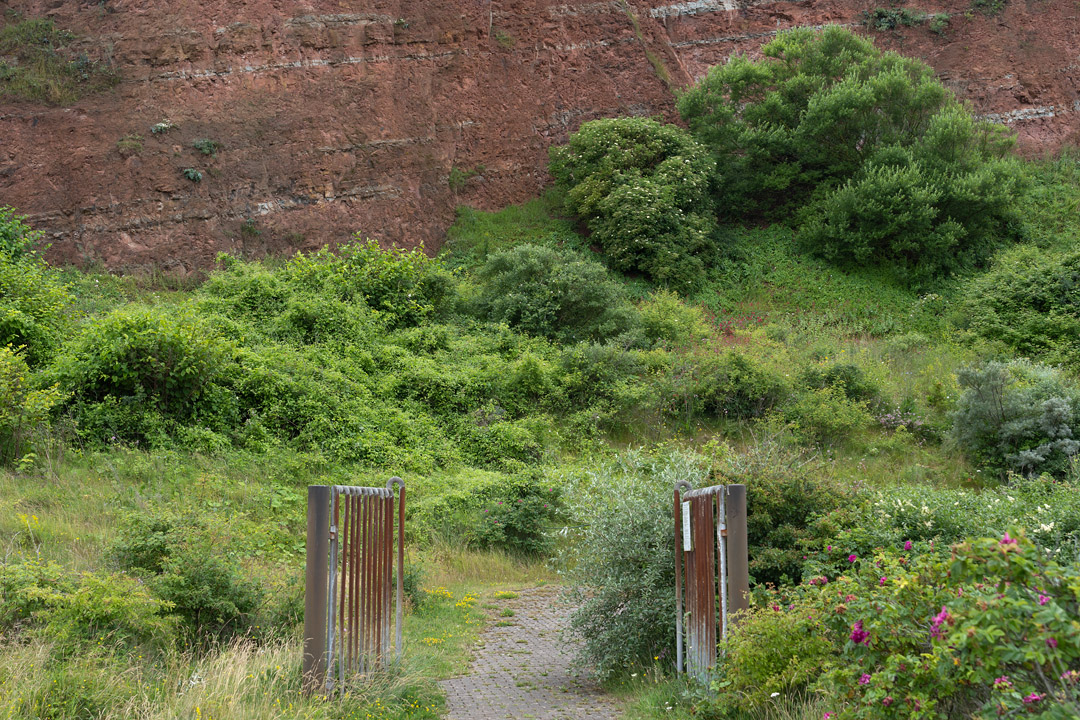 Eingang zum Sportplatz