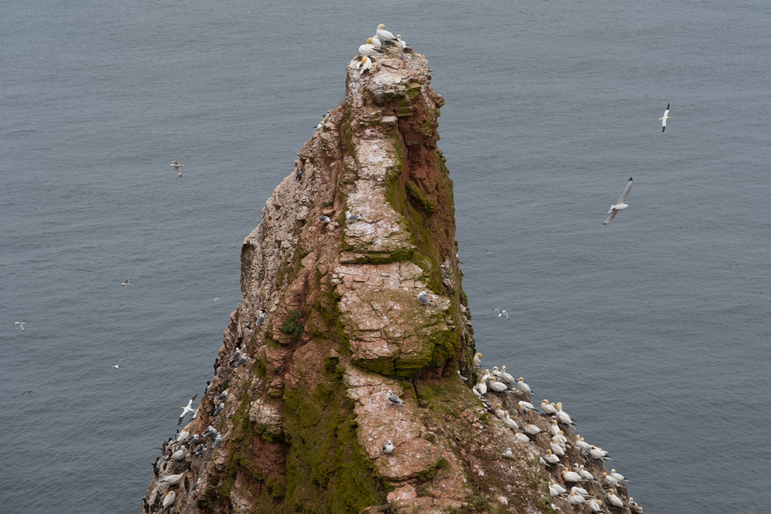 schmaler Grad am Lummenfelsen